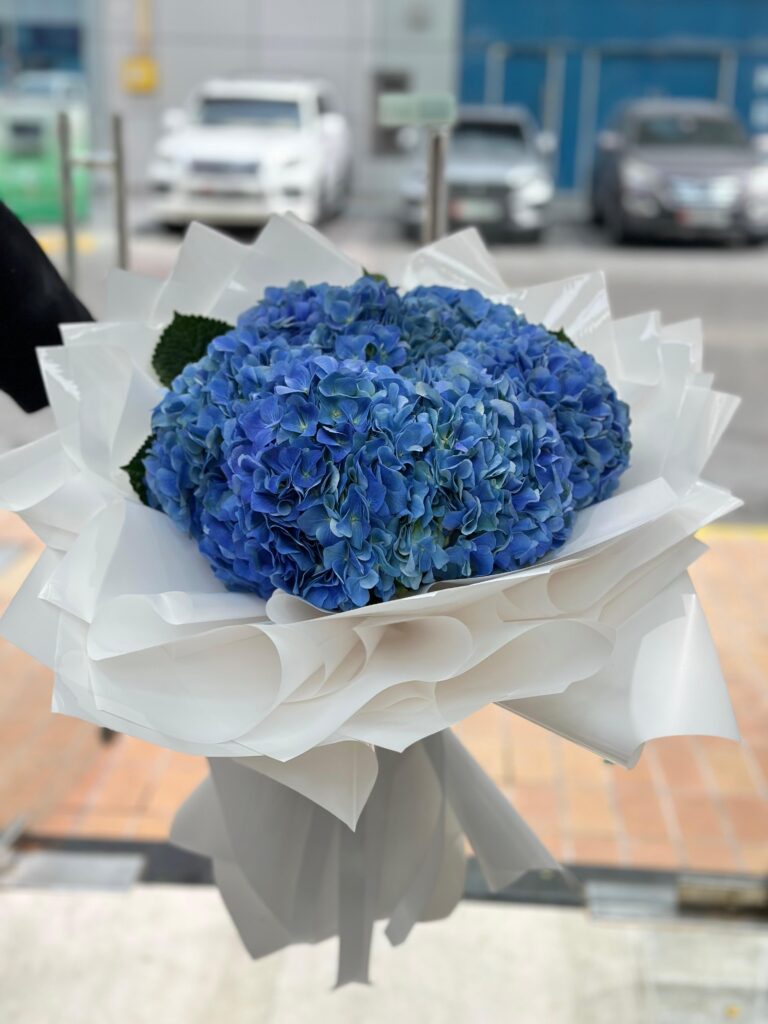 IMG-20250108-WA0089