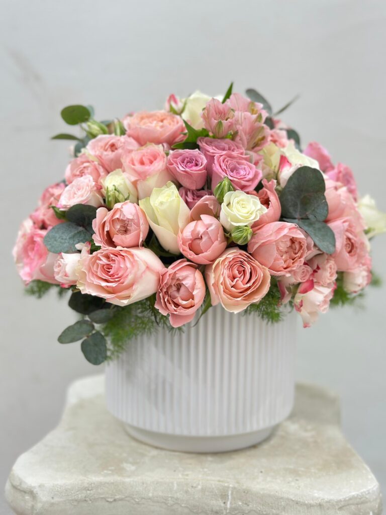 IMG-20250108-WA0091