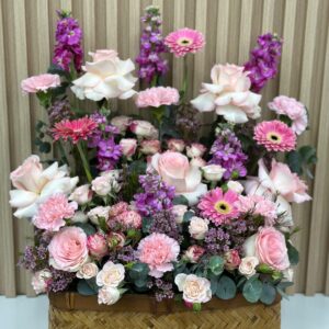 صدى الألوان