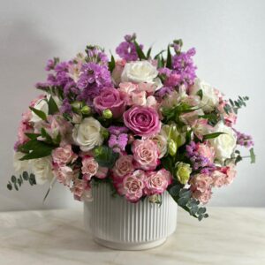 Pink Tulip Collection